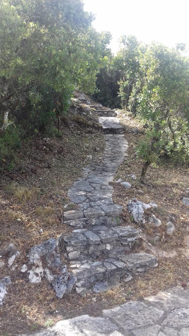 Cabeco Dos Tres Moinhos Villa Rio Maior Dış mekan fotoğraf