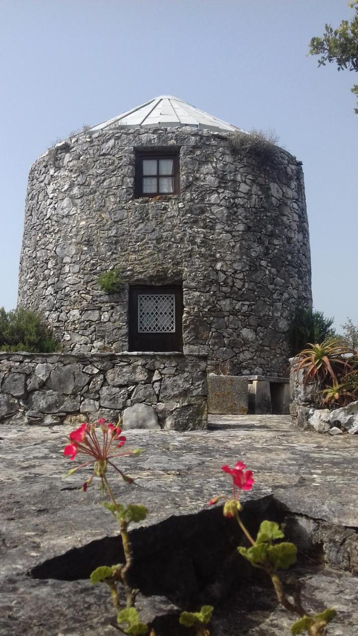 Cabeco Dos Tres Moinhos Villa Rio Maior Dış mekan fotoğraf